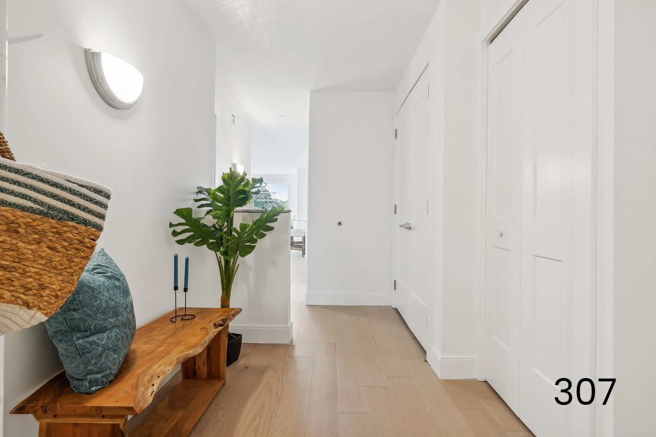 Residence 207 walkthrough — 218 Washington Avenue